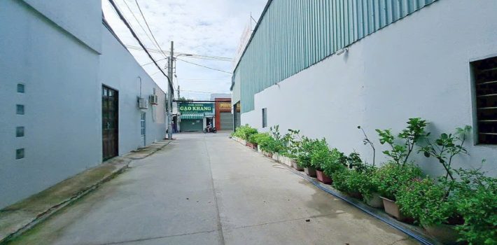 Bán 03 nền 8×10, 10×10 hẻm 1896 Lê Văn Lương giá đầu tư