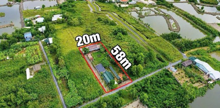 1250m2 đất làm nhà vườn, kho xưởng tại Nhơn Đức 5.5 Tỷ