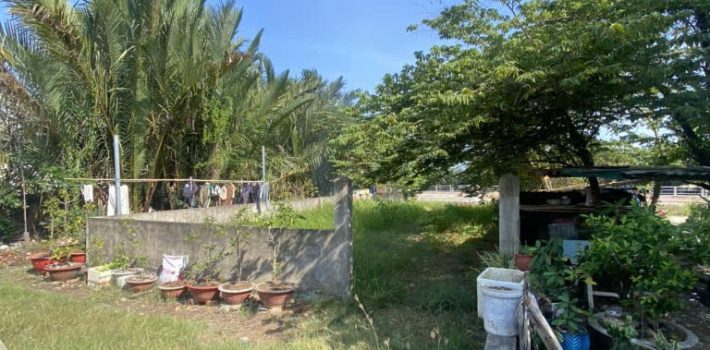 Đất View Sông, mặt tiền nhựa 8m làm nhà vườn quá đẹp